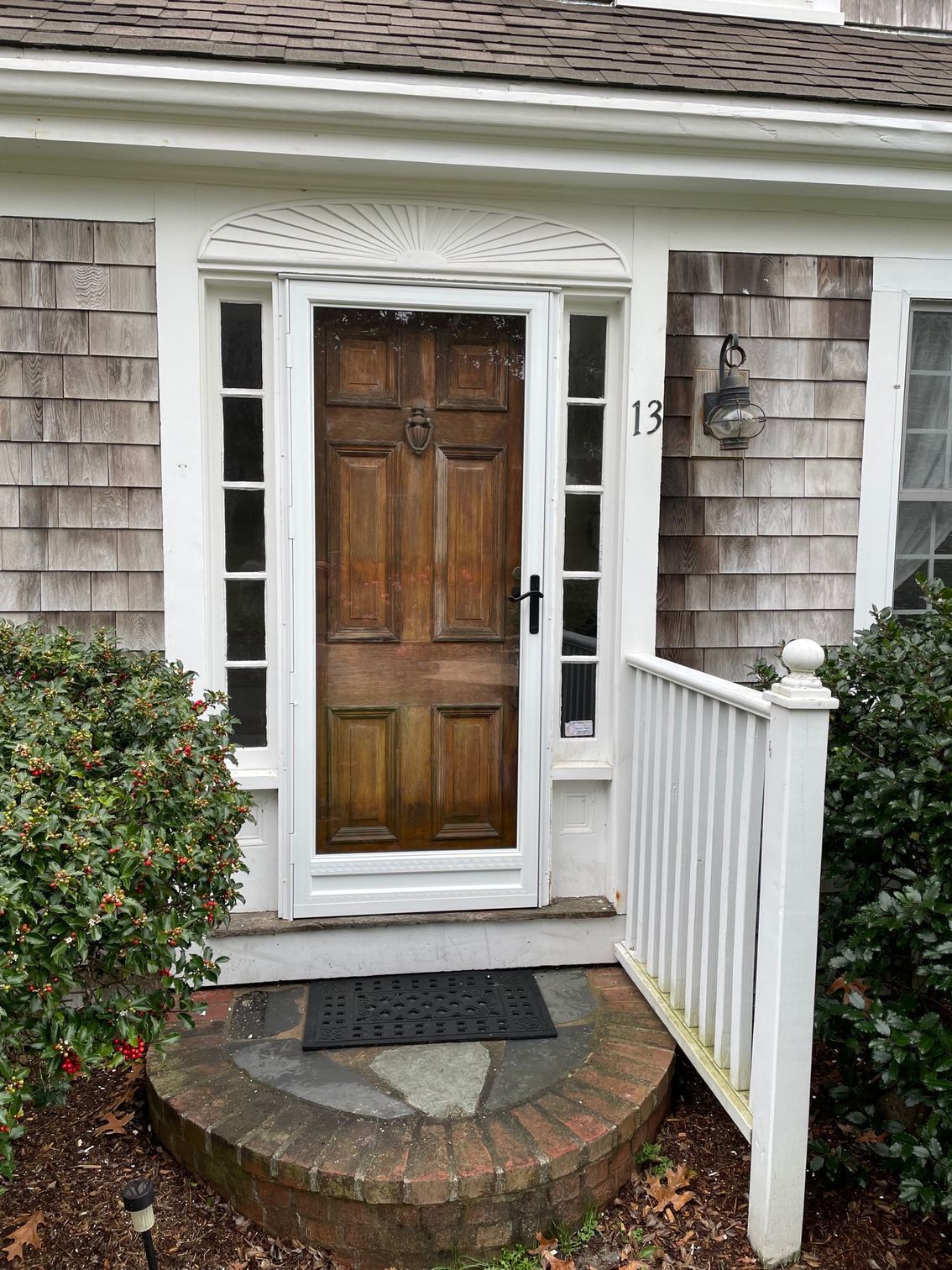 Storm Doors 2