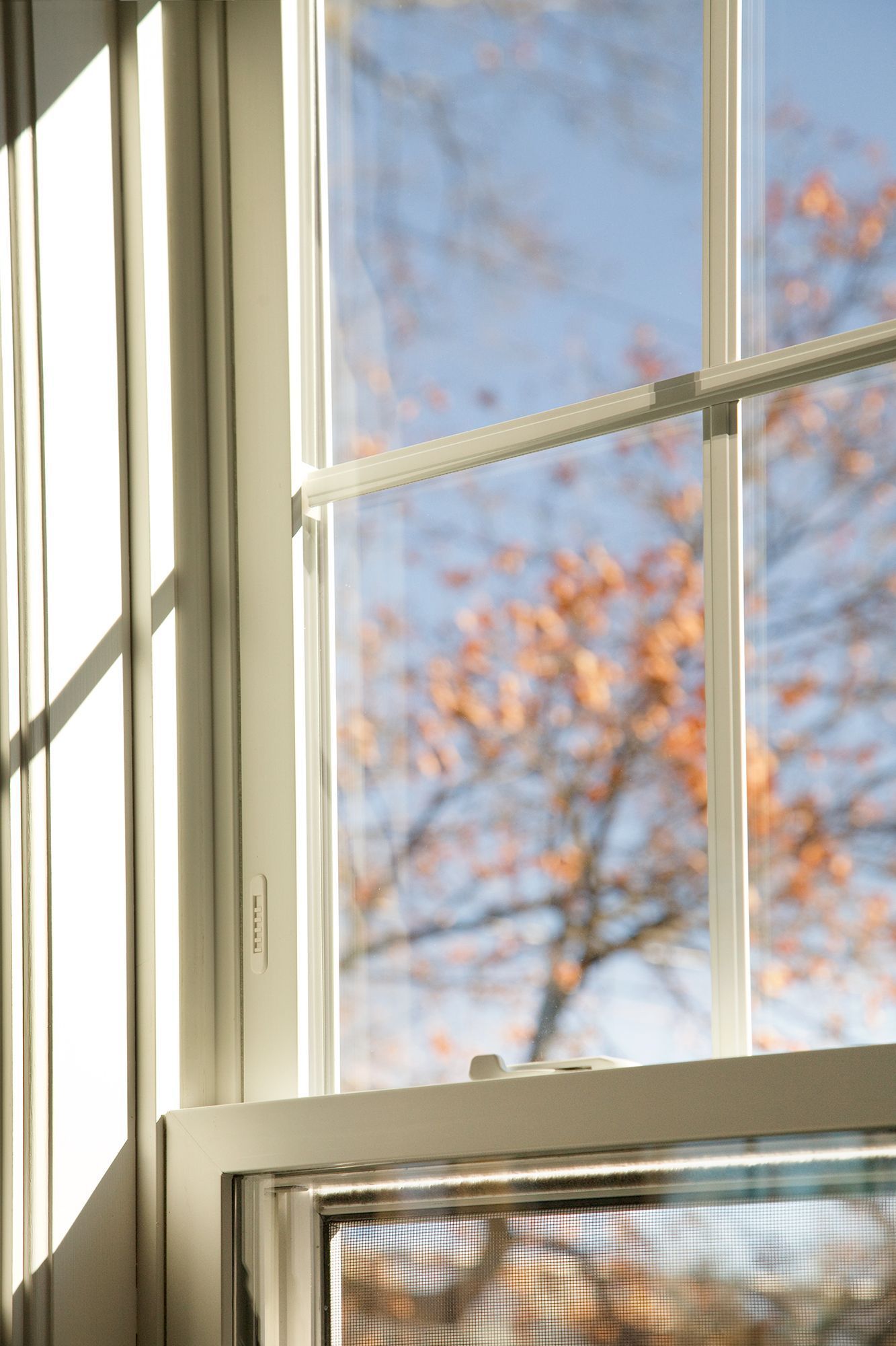 Vinyl Windows 6
