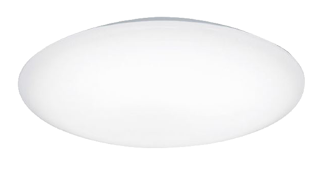 A white oval ceiling light on a white background.