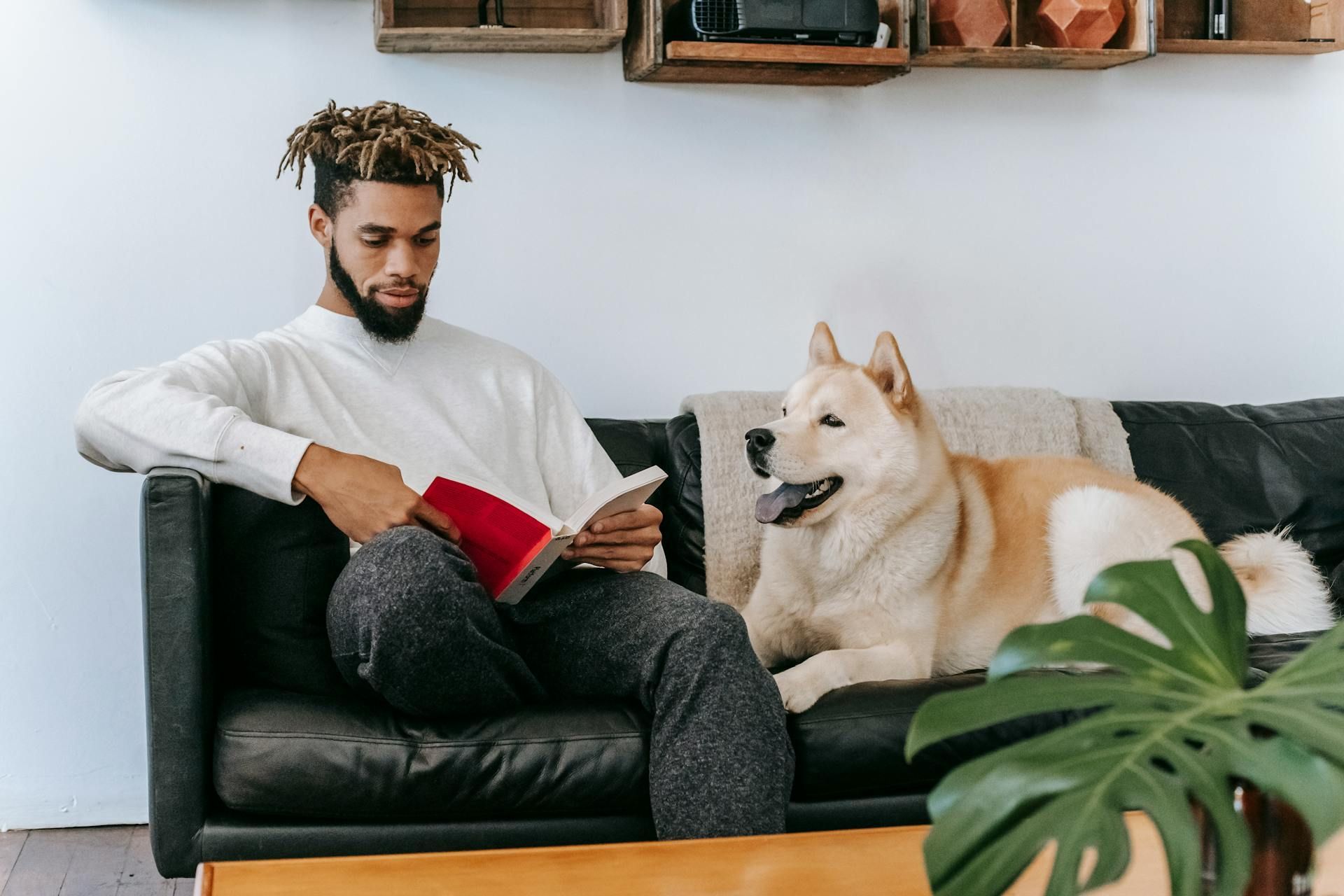 Man reads book on black couch with dog indoors.
