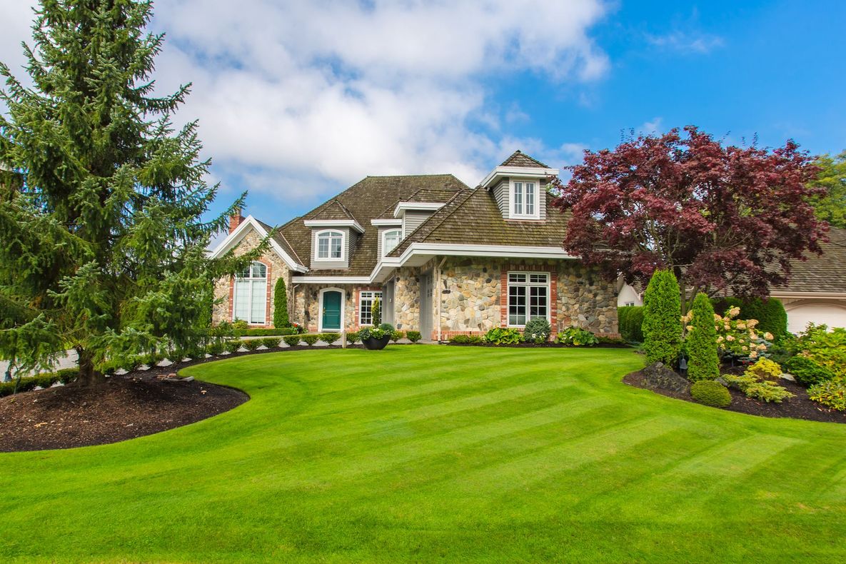 Custom built luxury house with nicely trimmed and designed front yard