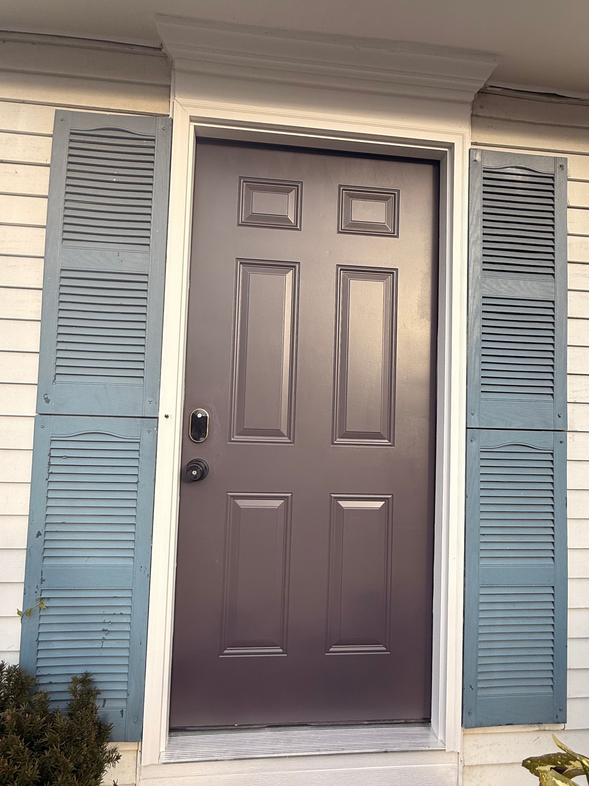 Front door with dark brown panels, framed by light blue shutters on a beige exterior wall.