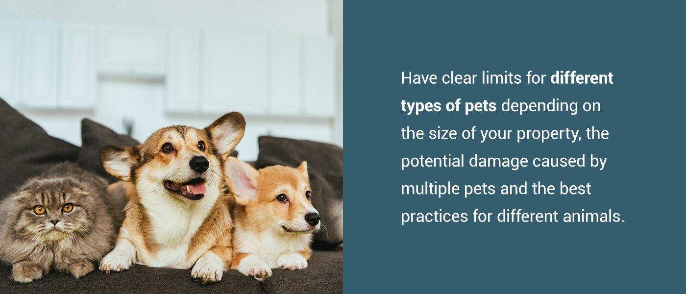 Amount of Pets
