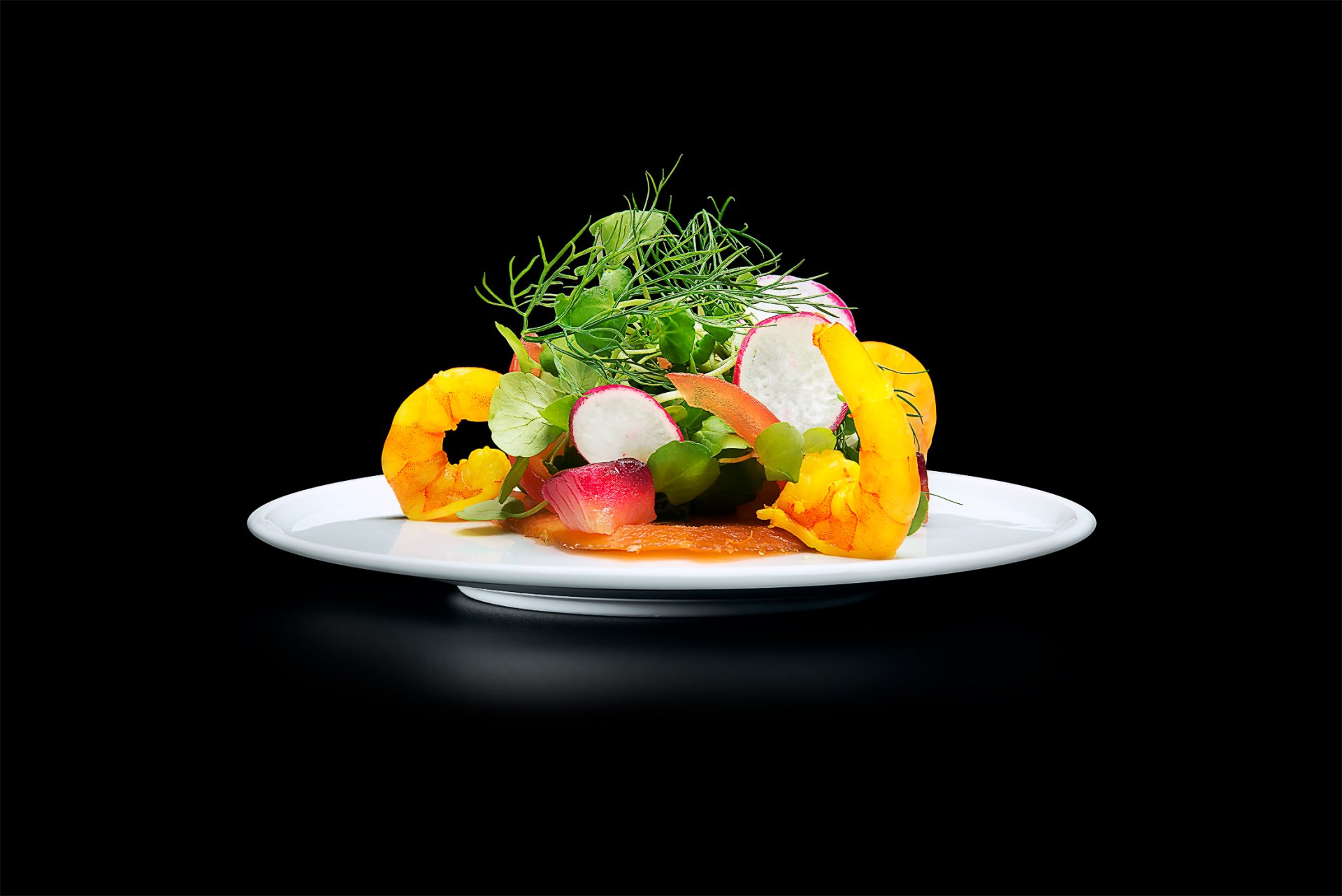 Trocadero/Picture/Gallery