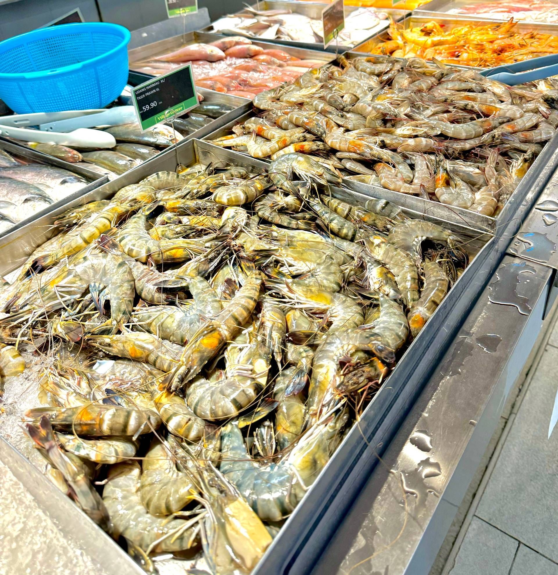 Display of fresh seafood, including prawns and fish, at a market.