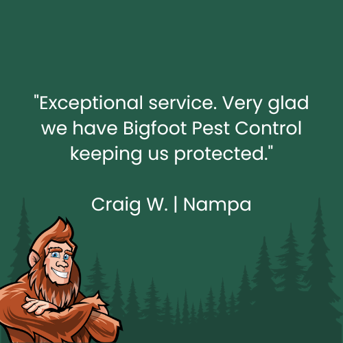 Bigfoot Pest Control customer quote: Bigfoot cartoon, text, forest background.