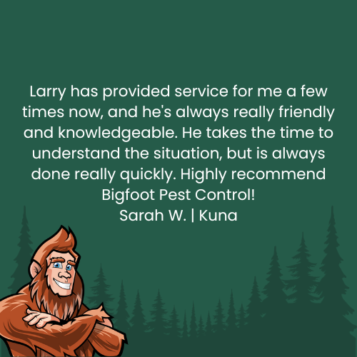 Testimonial from Sarah W. of Kuna, recommending Bigfoot Pest Control and Larry. Bigfoot cartoon with forest background.