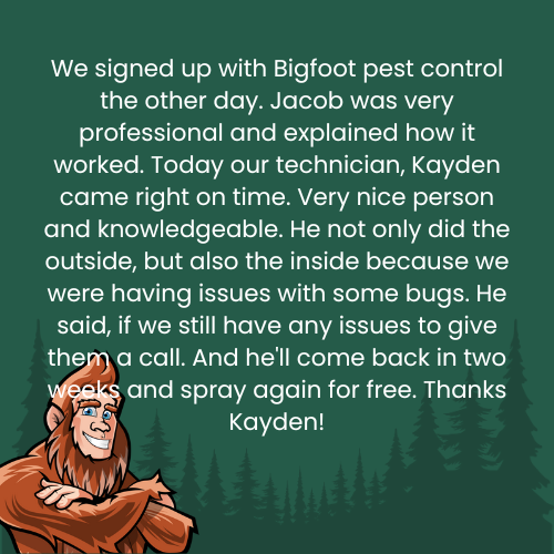 Customer review for Bigfoot Pest Control with a smiling Bigfoot character and forest background.