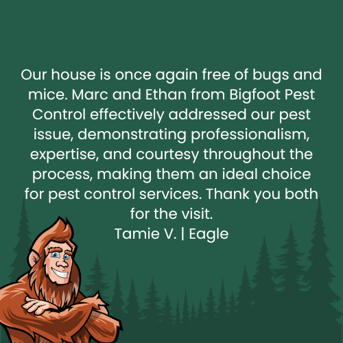 Testimonial from Tamie V. about Bigfoot Pest Control: praising Marc and Ethan for pest control service. Features a Bigfoot cartoon.