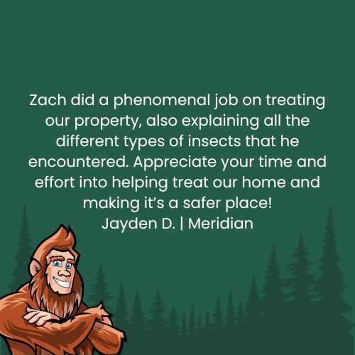 Customer review praising Zach's pest control work. A cartoon Bigfoot next to text on a green background.