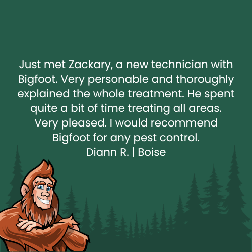 Testimonial from Diann R. in Boise recommending Bigfoot pest control; features a smiling Bigfoot illustration.