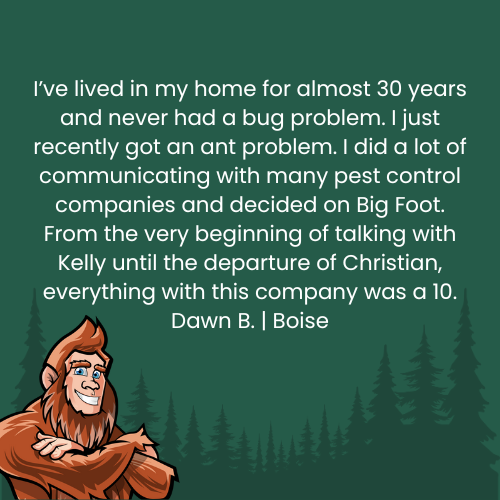 Testimonial: Dawn B. praises Big Foot pest control for their ant problem service; Bigfoot graphic.