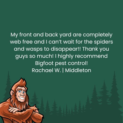 Customer testimonial for Bigfoot pest control, featuring a smiling Bigfoot character and text about web-free yards in Middleton.