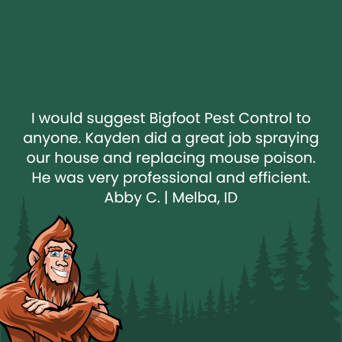 Review for Bigfoot Pest Control. Text over forest background with Bigfoot cartoon.