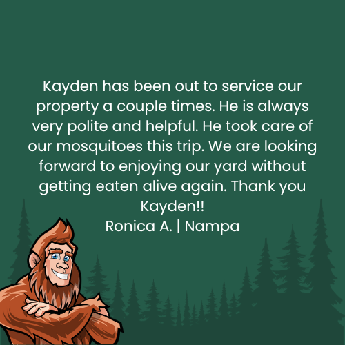 Customer review with smiling Bigfoot: Kayden provided mosquito service. Text reads, 