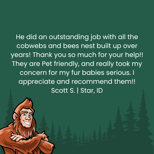 Customer testimonial: Bigfoot with thumbs up, recommending a pet-friendly service for removing cobwebs and bees nests.