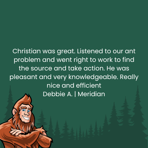 Customer testimonial about Christian: Bigfoot cartoon, text, forest background.