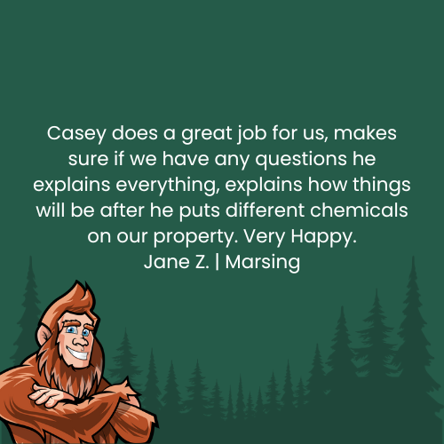 Testimonial: Bigfoot and text about Casey's great service, with a forest background.