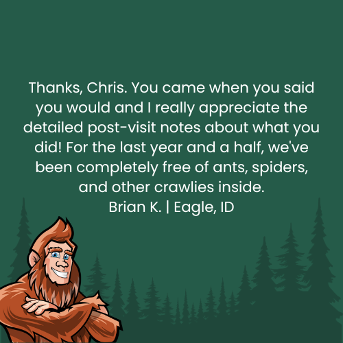 Testimonial from Brian K. of Eagle, ID: 