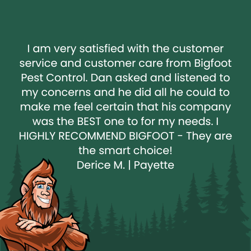 Testimonial from Derice M. about Bigfoot Pest Control: satisfied customer with quote and illustration of Bigfoot.