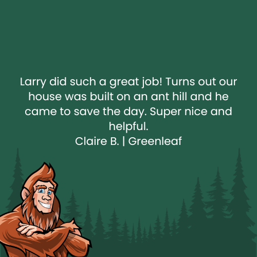 Testimonial with a smiling Bigfoot character and text about saving a house on an anthill, set in a forest.
