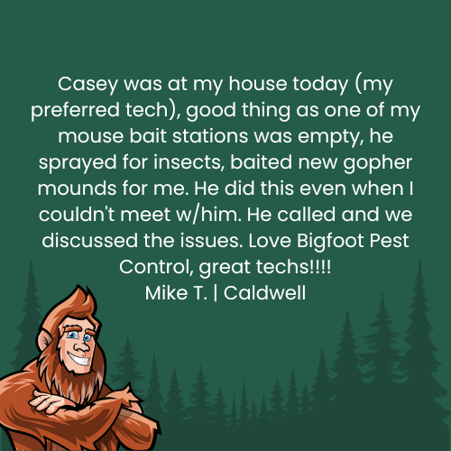 Bigfoot Pest Control customer review: Casey, a tech, provided pest control services. A smiling Bigfoot graphic is included.