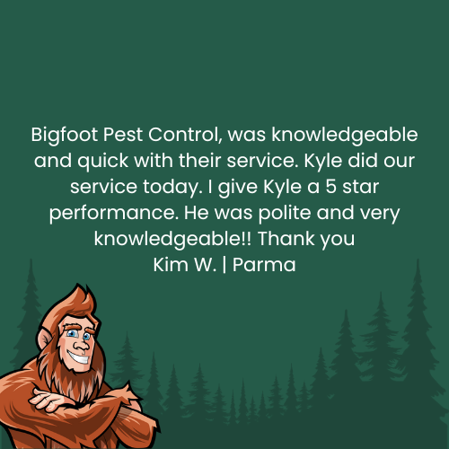 Testimonial for Bigfoot Pest Control. Text by Kim W. about Kyle's service. Bigfoot cartoon graphic and forest backdrop.