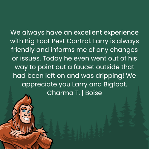Testimonial from Charma T. in Boise praising Big Foot Pest Control and Larry for their excellent service. A friendly Bigfoot cartoon is shown.