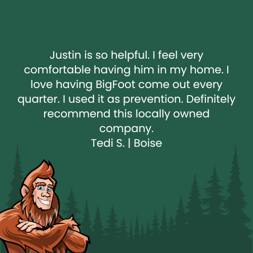Testimonial with a Bigfoot illustration. Text reads, 