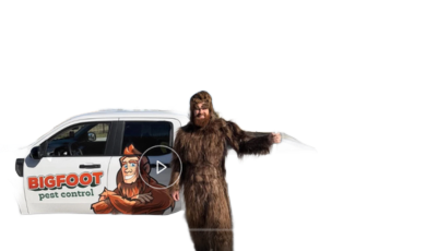 Bigfoot Pest Control featured in CBS local news