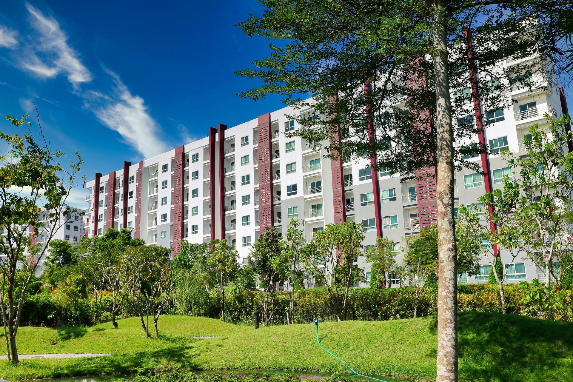 Apartment buildings behind a green park with trees under a bright blue sky
