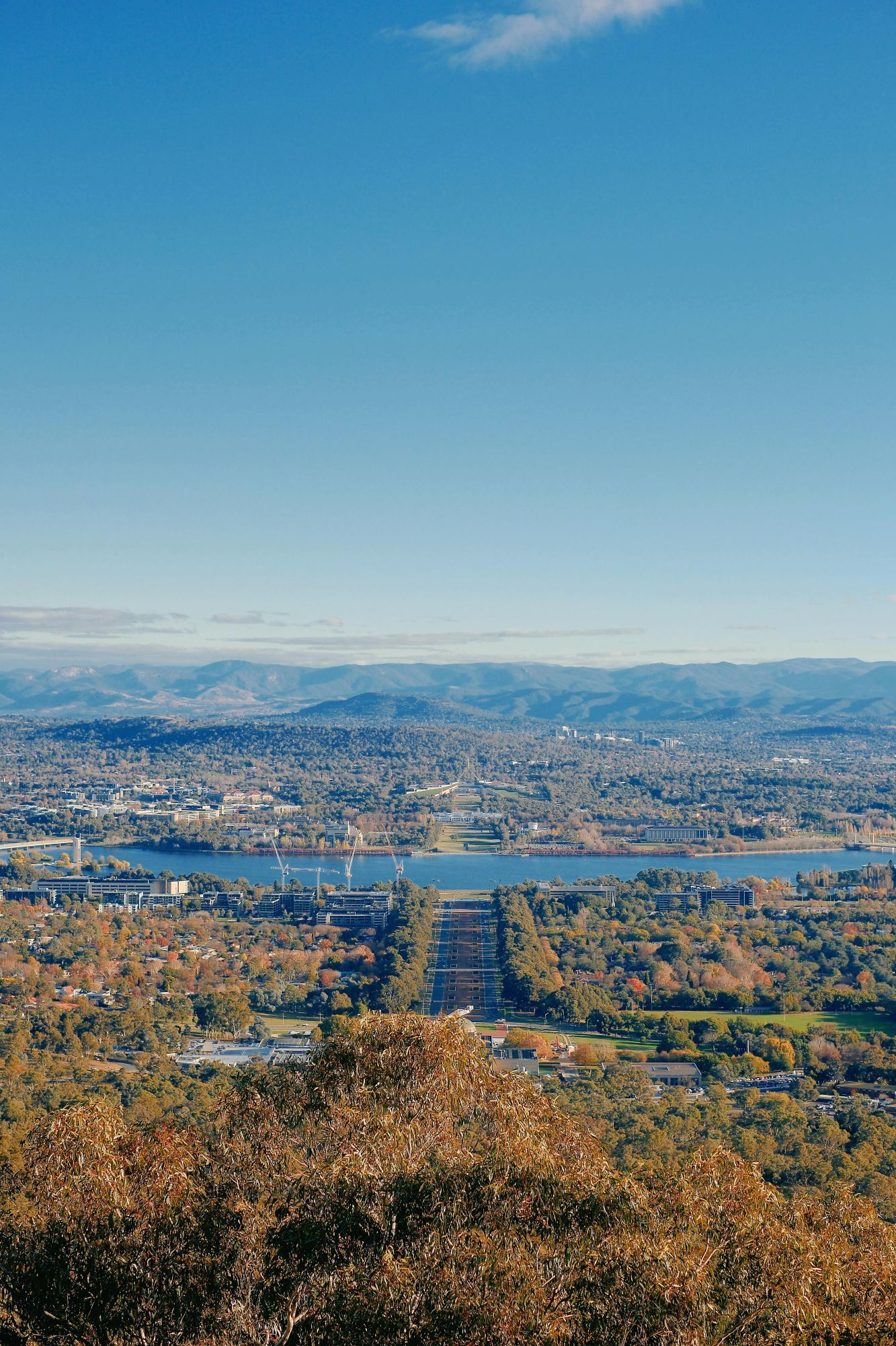 Cityscape and river seen from a hilltop, with blue sky and autumn trees in the foreground
