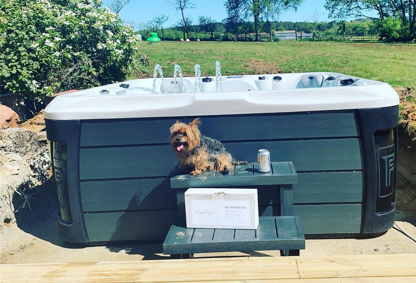 Yorkshire Terrier sits on steps in front of a hot tub, with a can of beverage and white box.
