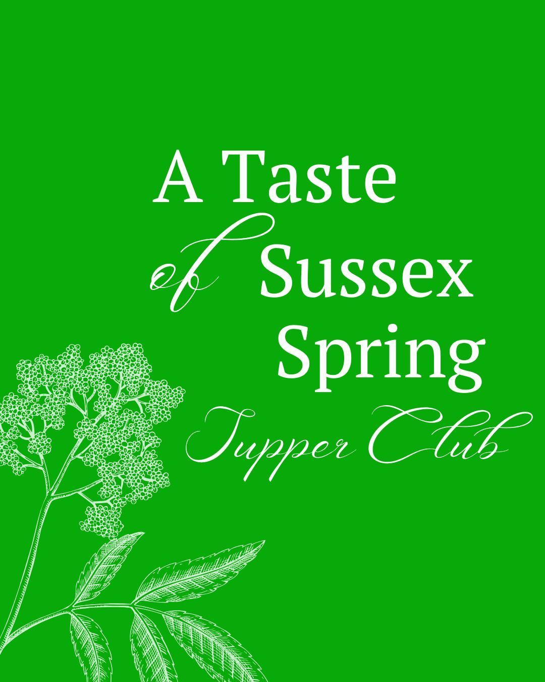 a taste of sussex menu from west sussex pub