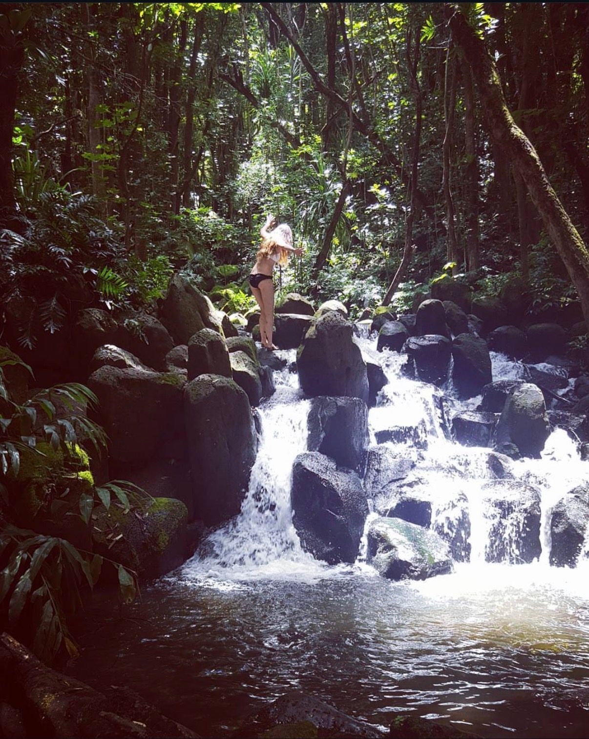Lush forest stream