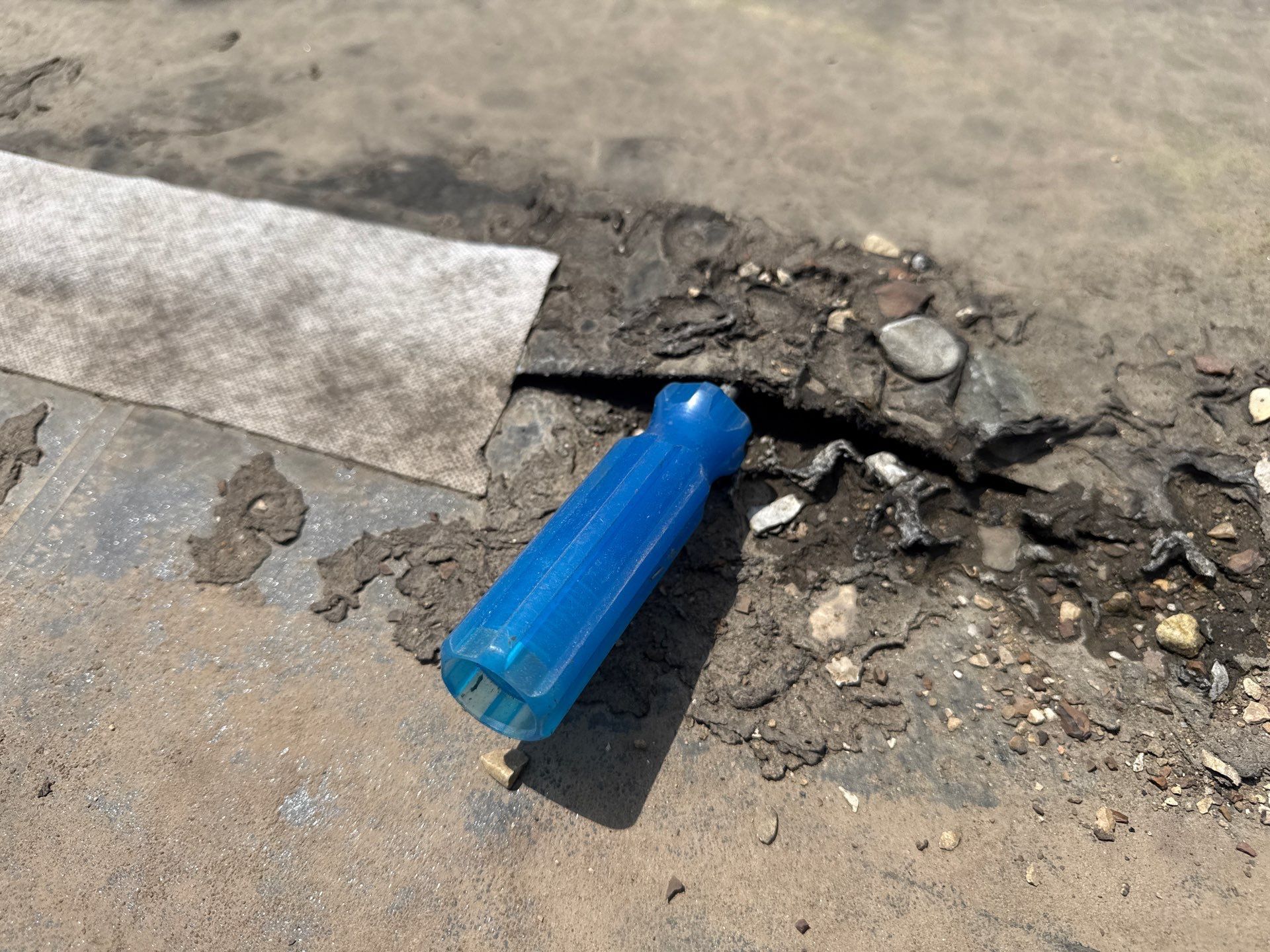 Blue plastic bottle lying on cracked pavement beside a broken curb