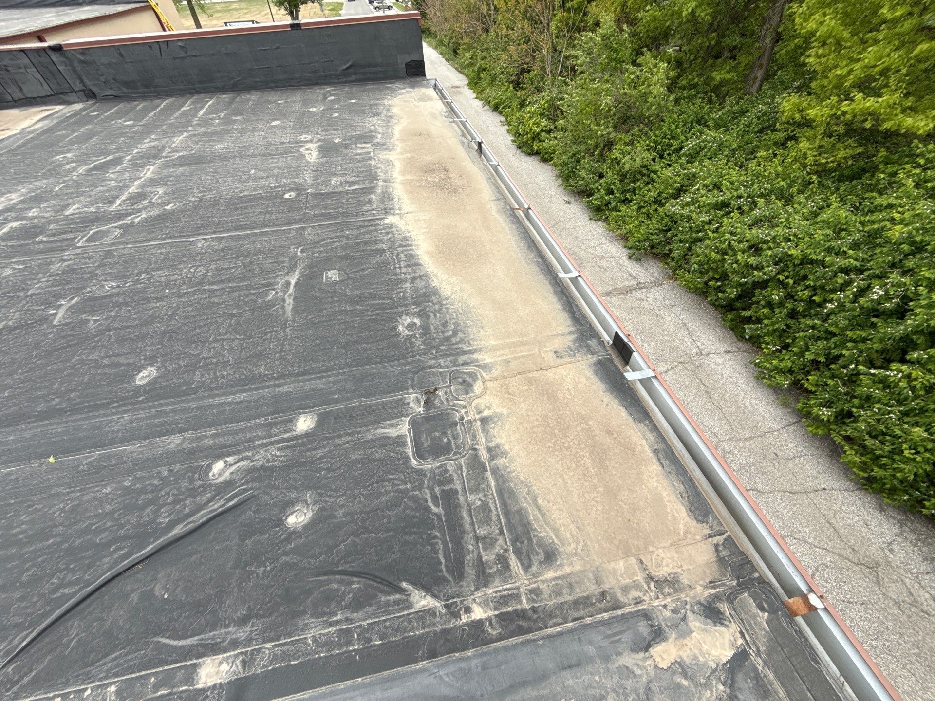 Flat rooftop with gravel and concrete edging beside dense green bushes.