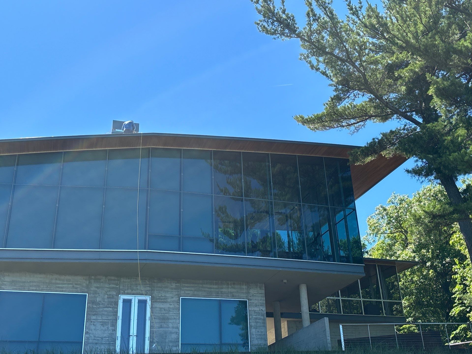 Modern glass-front building with blue windows and a slanted roof under a clear sky