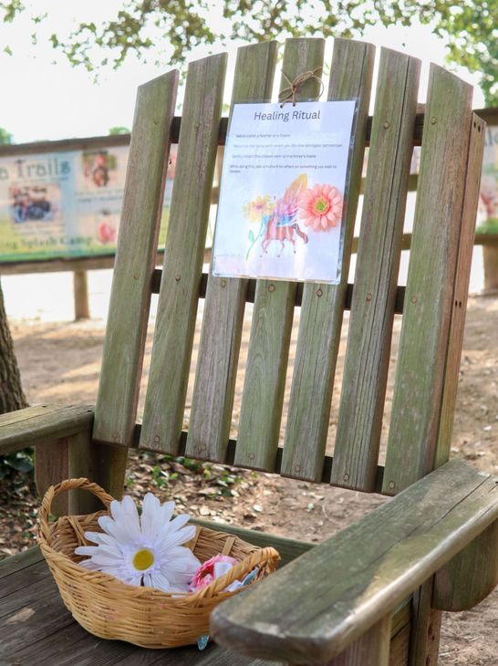 Rustic chair on range