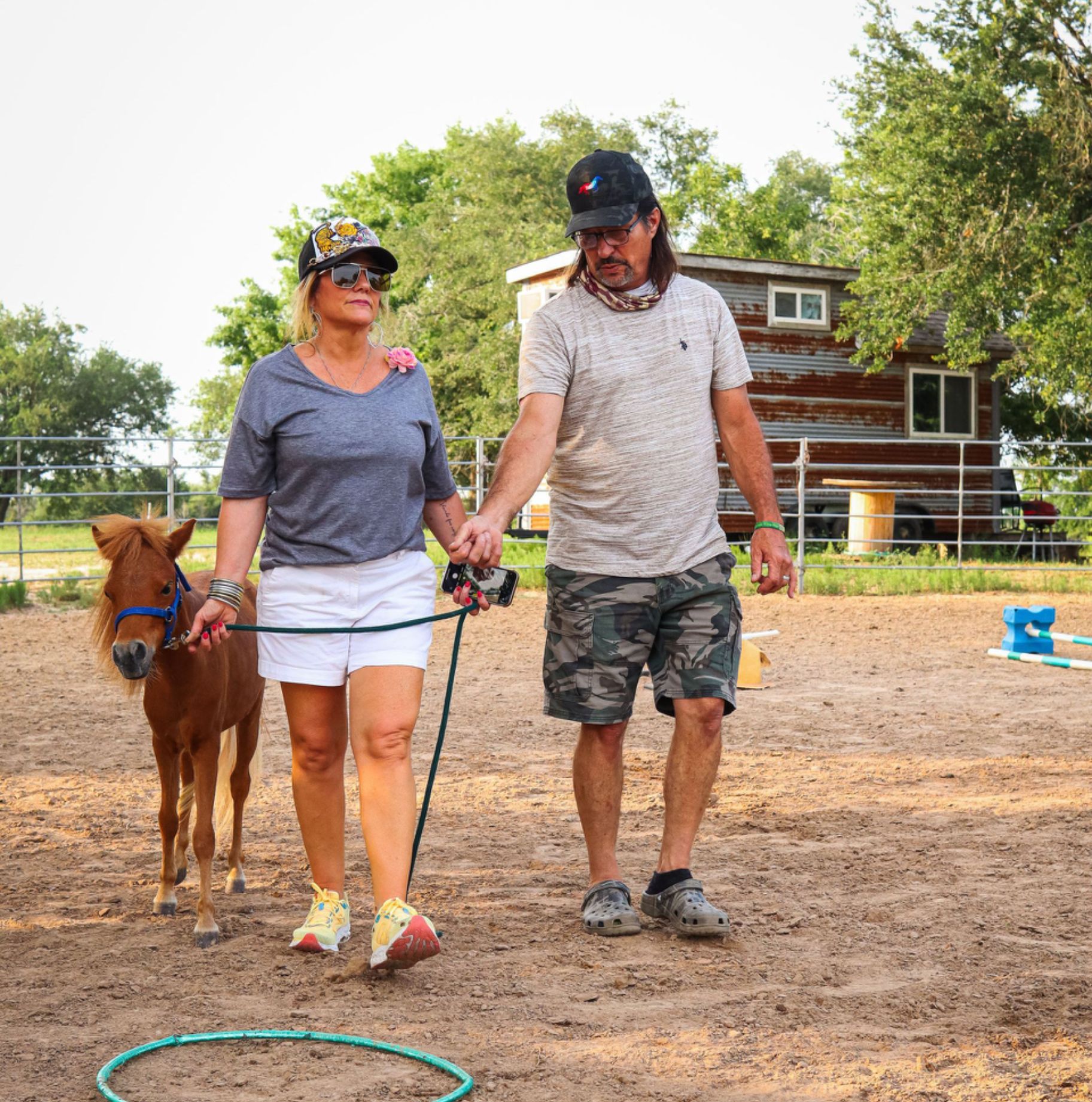 Miniature horse