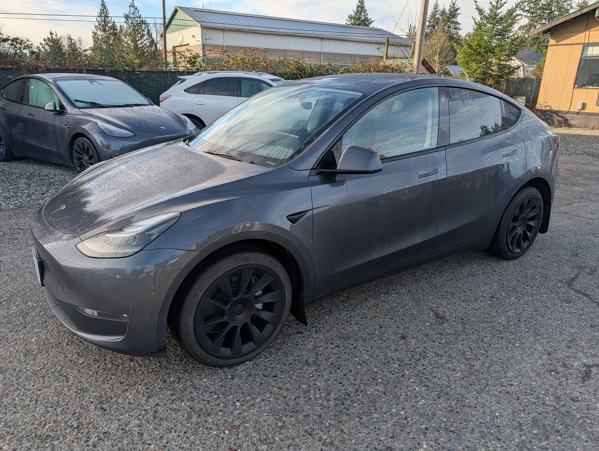 2023 Tesla for sale