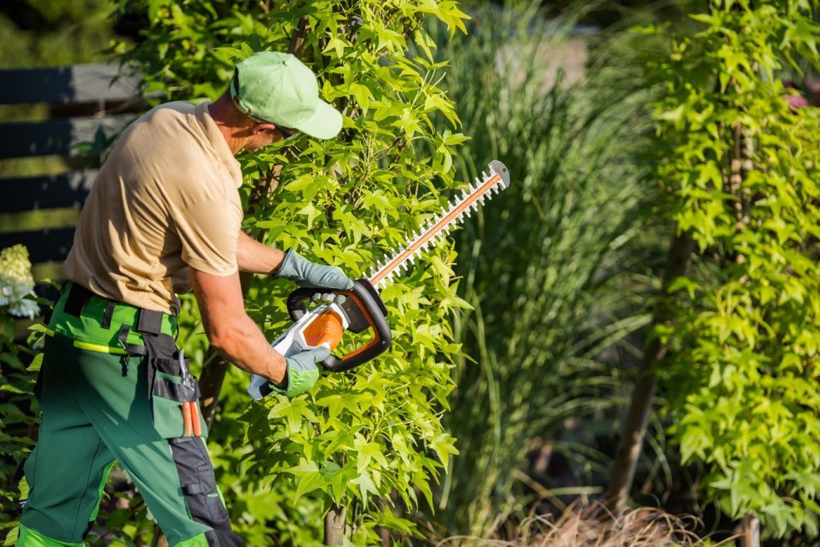An image of Tree Trimming in Winter Haven FL