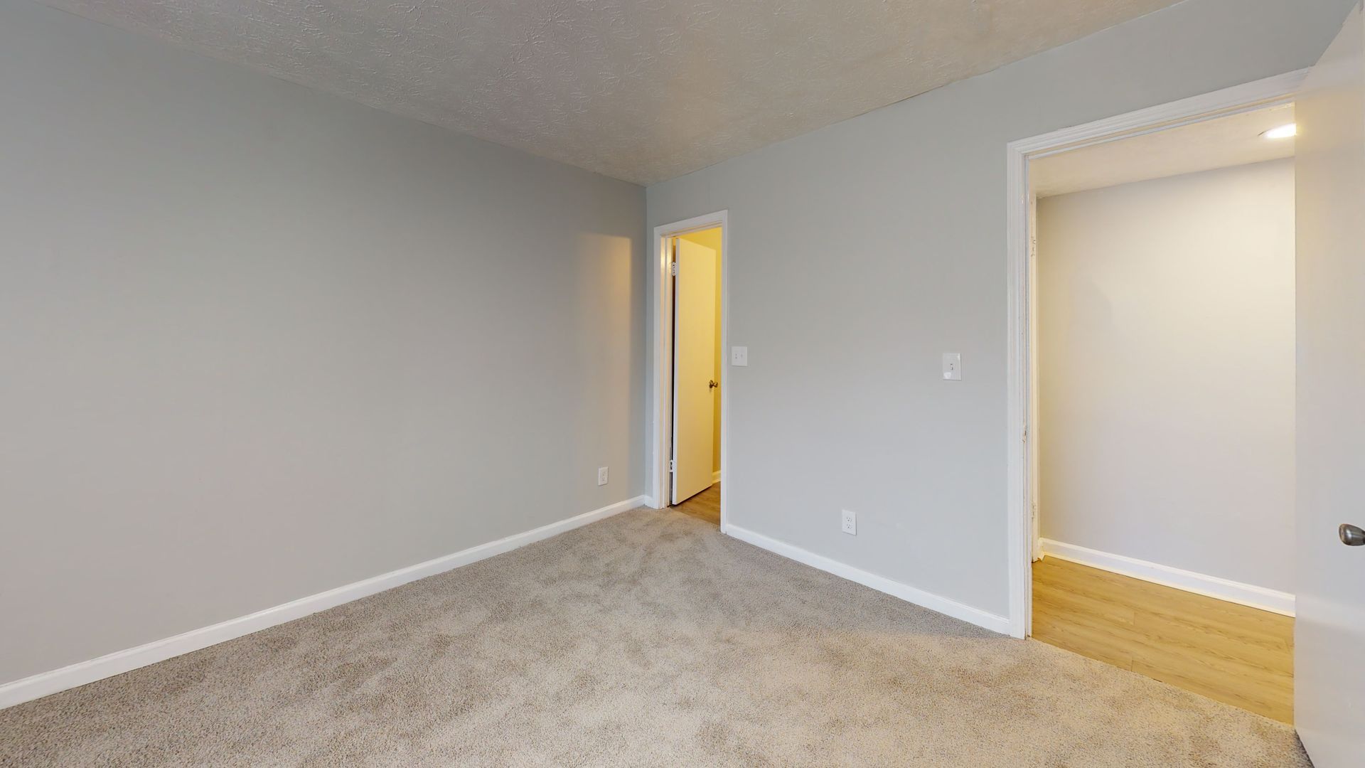 Empty beige bedroom with carpet, gray walls, an open doorway, and a closet with hardwood floor visible