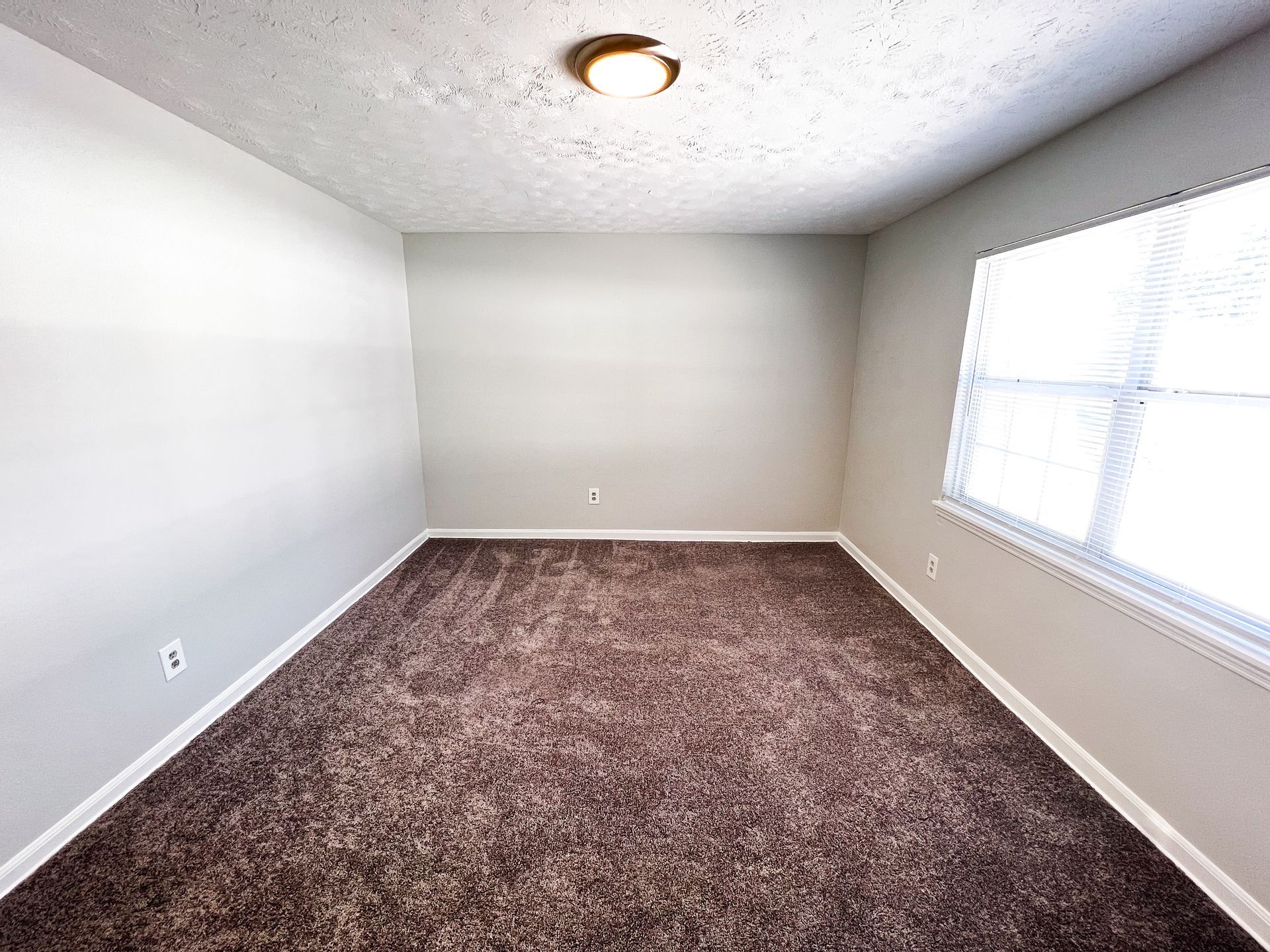 Empty carpeted room with white walls, a ceiling light, and a large window on the right.