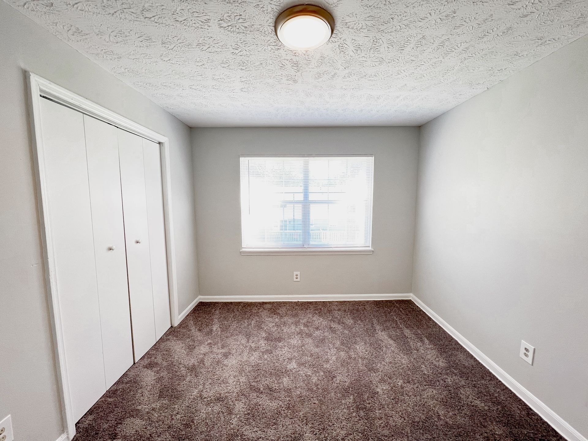 Empty small bedroom with gray walls, brown carpet, window, closet, and ceiling light