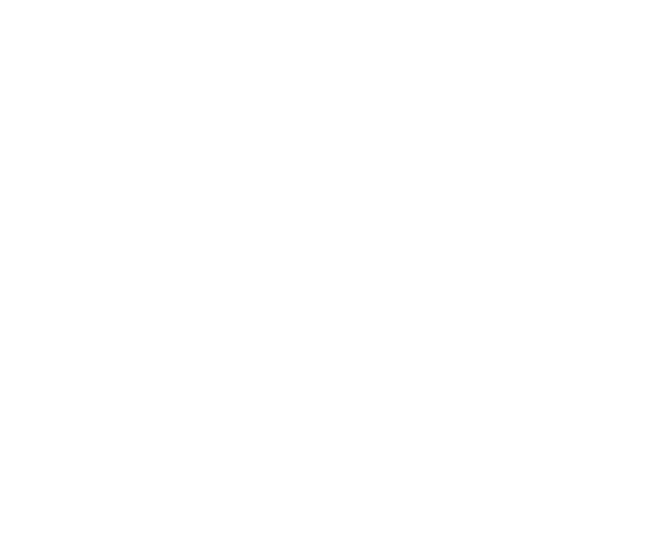 Imago Relationship