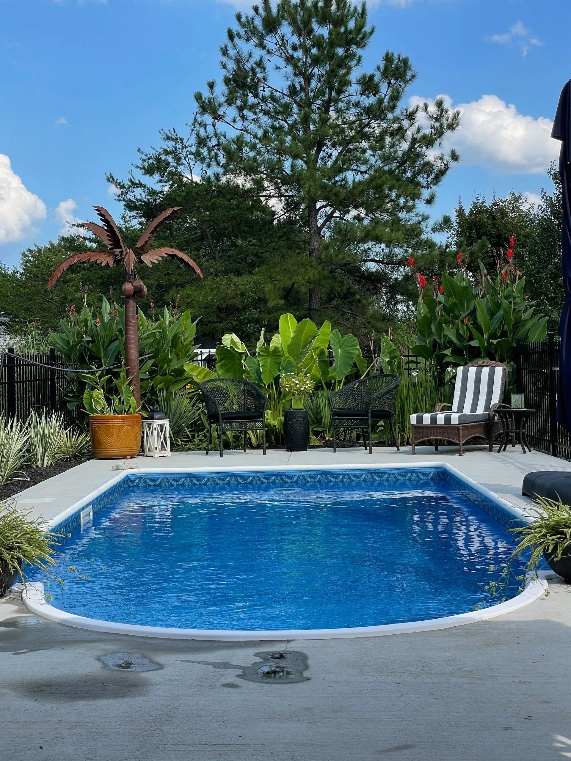 Backyard pool with blue water, white deck chairs, and lush tropical plants under a bright sky