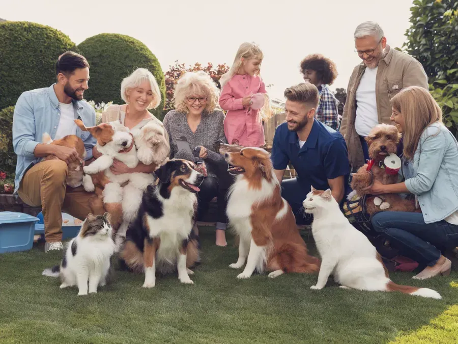 About Furry Friends Poop Patrol