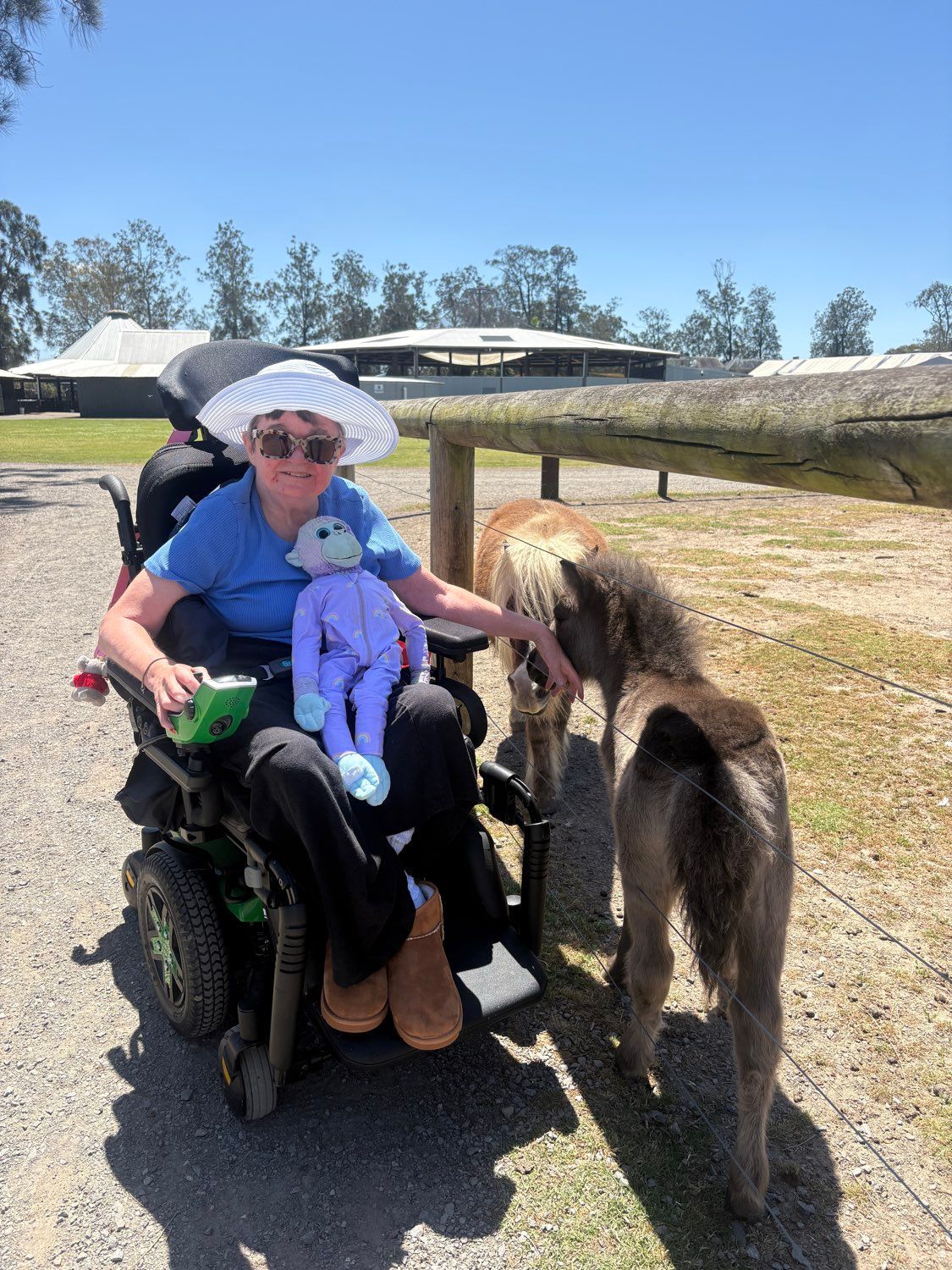 Woman in wheelchair petting ponies at an outdoor farm, holding a doll. Sunny day.