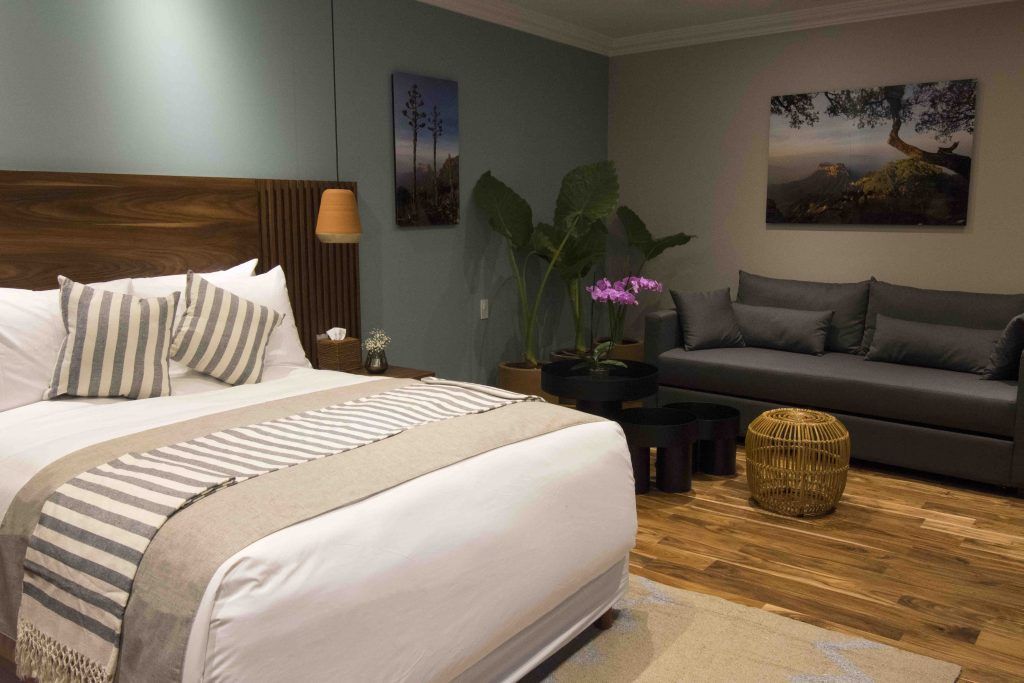 There is a bed and a couch in the room.